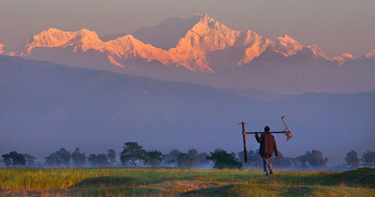 Қынаптағы кончалар Қынаптағы кончалар