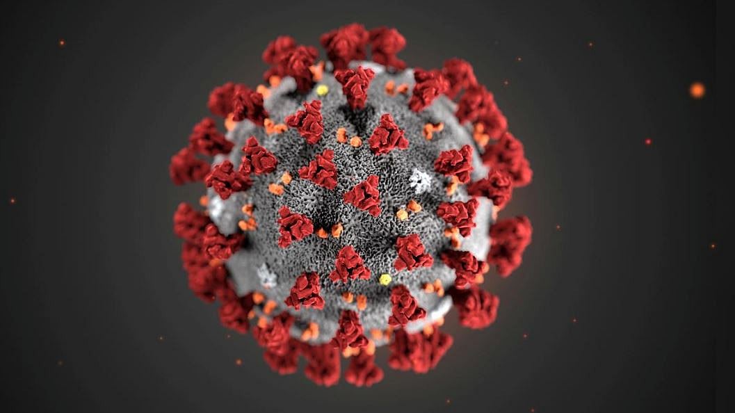 করোনাভাইরাস