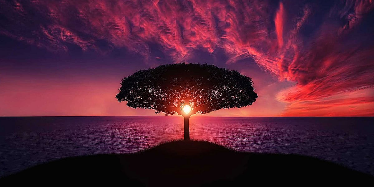 নতুন বছরের কাউন্ট ডাউন শুরু হয়ে গেছে