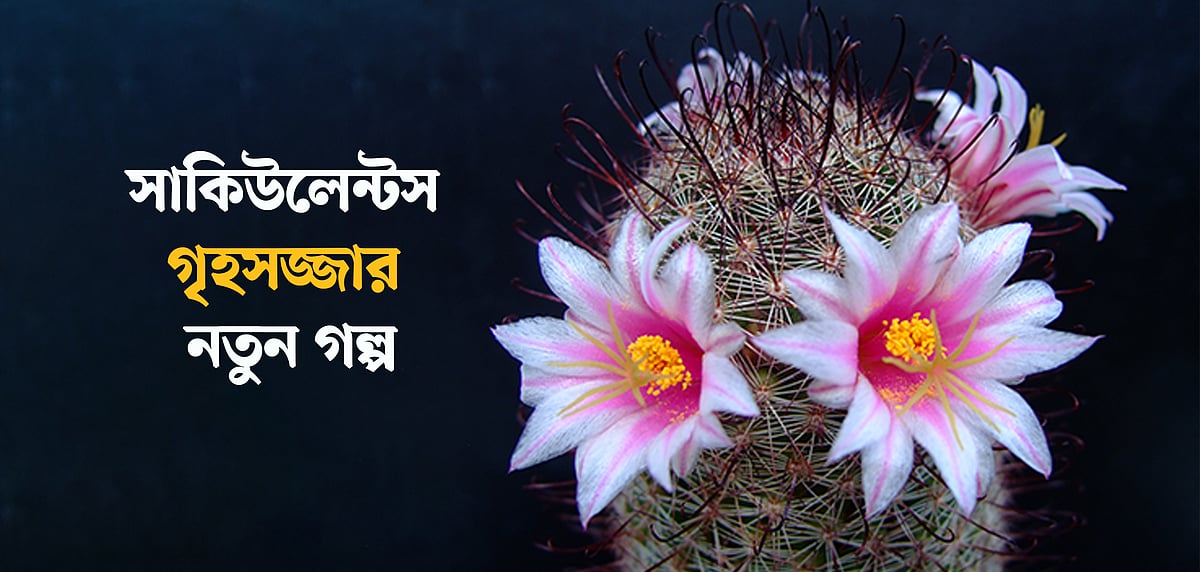 ছবি: উইকিপিডিয়া