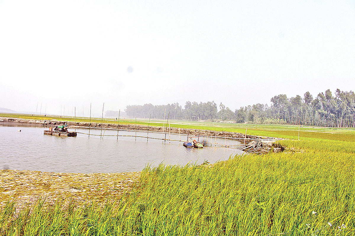 সরিষাবাড়ীর যমুনা নদীর পূর্ব তীরের সংরক্ষণ বাঁধের পাশ থেকে আবৈধভাবে বালু উত্তোলন করা হচ্ছে। এতে বাঁধটি হুমকির মুখে পড়েছে। সম্প্রতি উপজেলার যমুনা নদীর কুলপাল এলাকায়