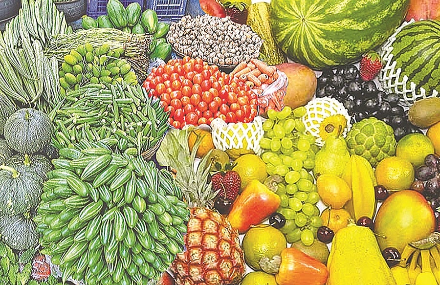 ছবি: প্রথম আলো