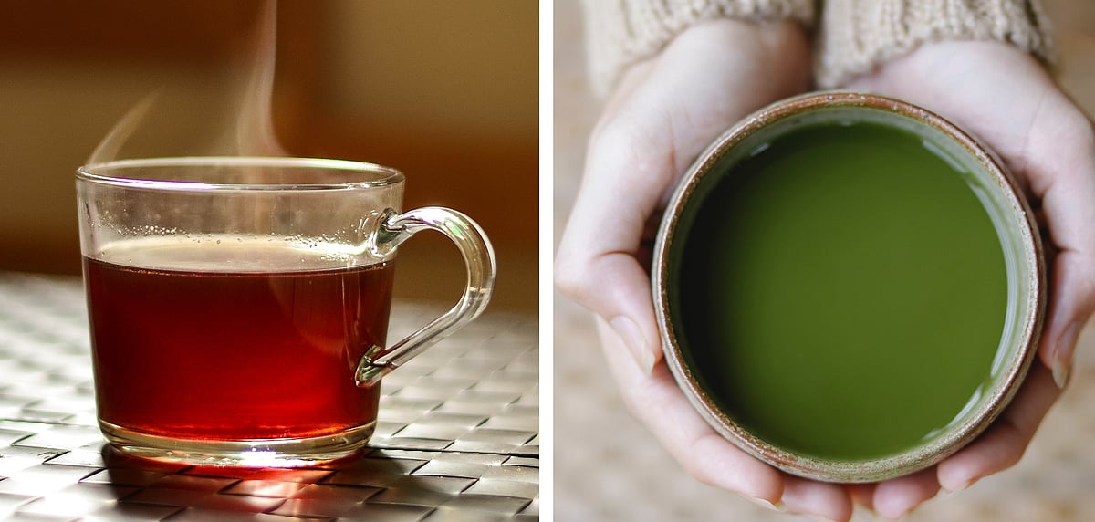 ছবি: জুলিয়া ফাহেলি ও শার্লোট মে, পেকজেলস ডট কম