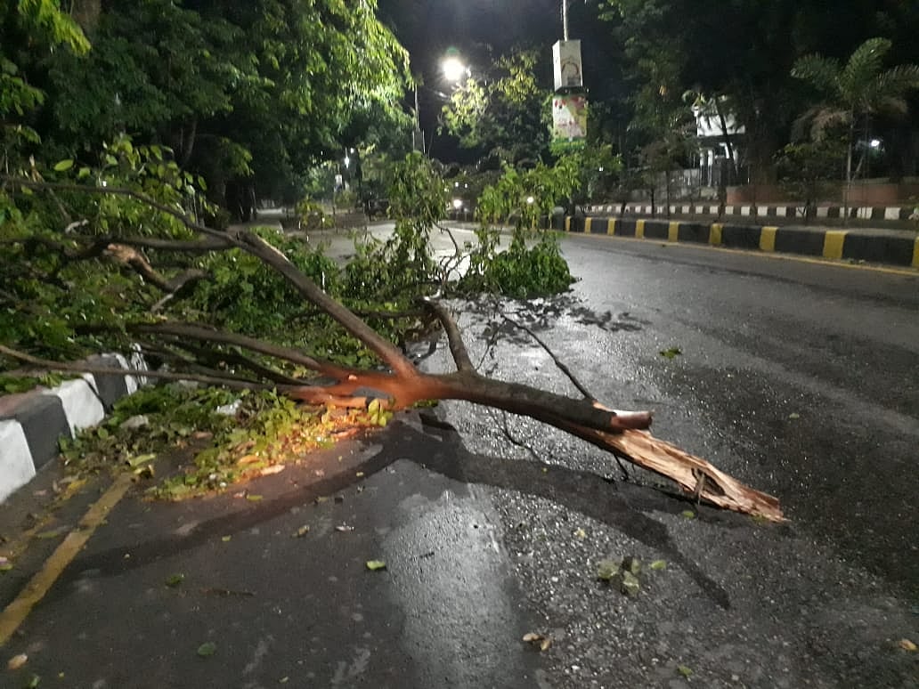 রাত সোয়া দশটার দিকে হঠাৎ করে দমকা হাওয়ার সঙ্গে বৃষ্টি। এ সময় হেয়ার রোডে গাছের ডাল ভেঙে সড়কে পড়ে যায়। ঢাকা,২১ এপ্রিল