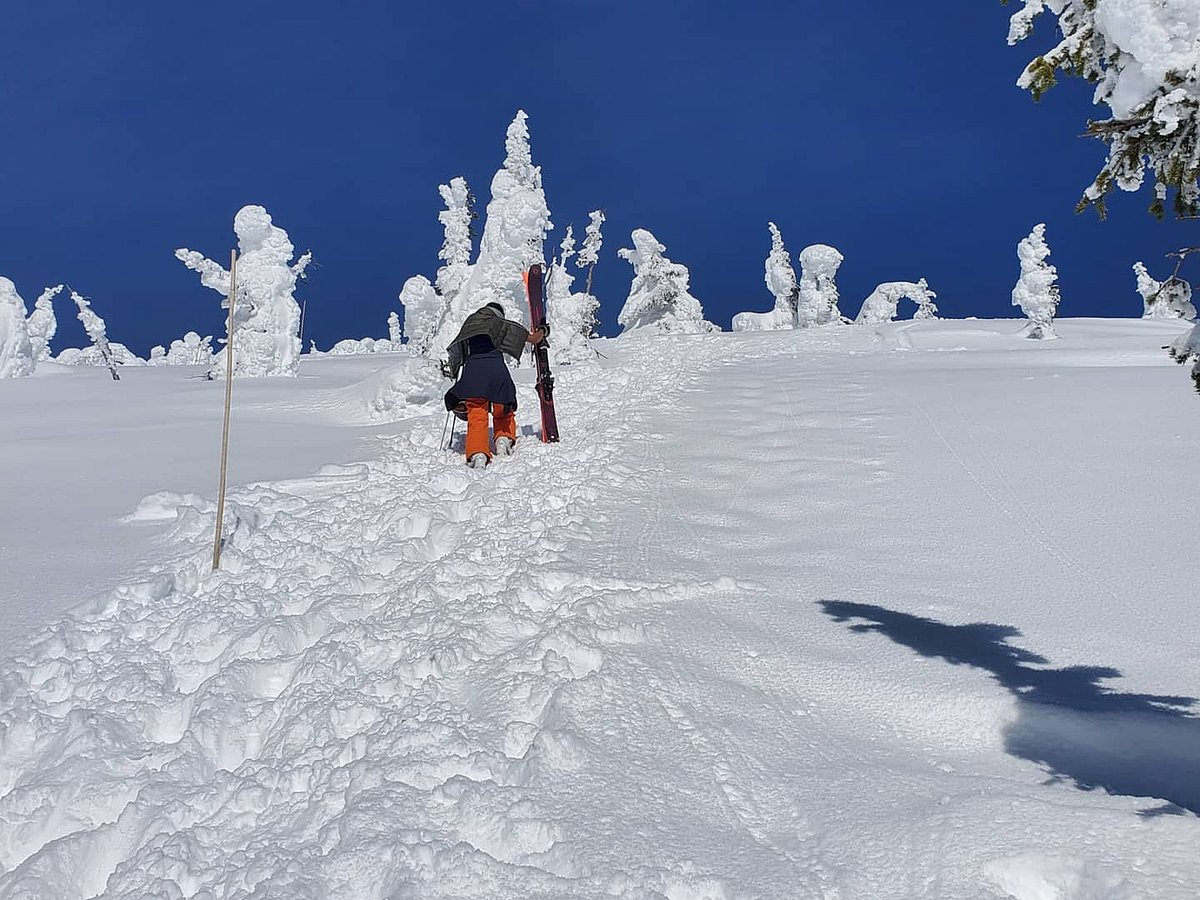বরফ মাড়িয়ে এগিয়ে চলা