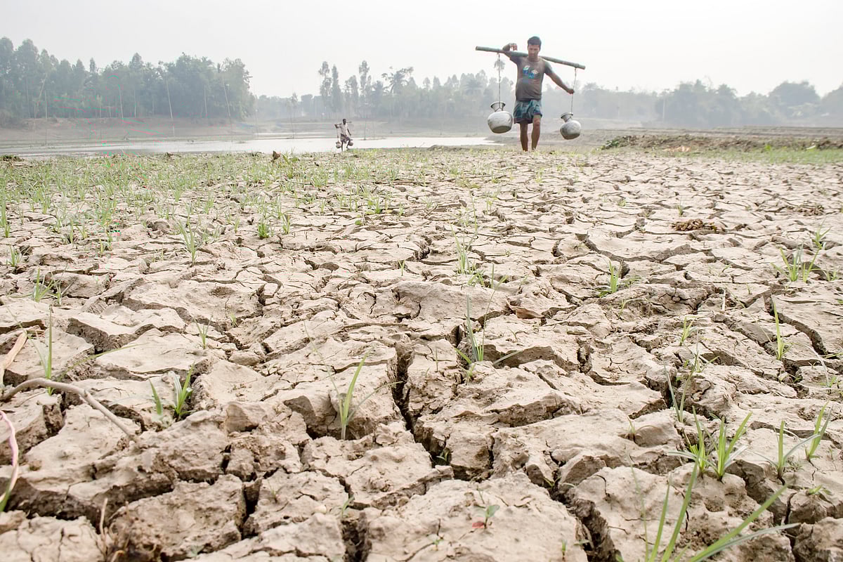 বৃষ্টি না হওয়ায় চলন বিল এলাকার মাঠ-ঘাট-নদী শুকিয়ে চৌচির হয়ে গেছে। কৃষিকাজ ও খাওয়ার পানি আনতে হচ্ছে দূর–দূরান্ত থেকে। সম্প্রতি পাবনার চাটমোহর উপজেলার চলনবিলে