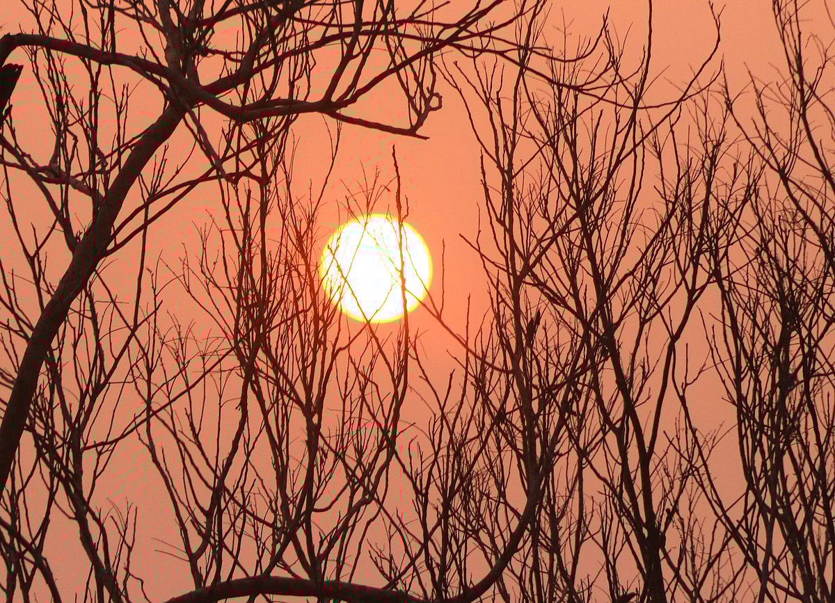 সকালে সূর্য ওঠে ভারতের মিজোরাম পাহাড় ডিঙিয়ে। উপভোগ করেন সাজেকে প্রতিদিন ভ্রমণে আসা বাংলাদেশের কয়েক হাজার পর্যটক। হঠাৎ করোনা সংক্রমণ বেড়ে যাওয়ায় সাজেক পর্যটনকেন্দ্র বন্ধ ঘোষণার পর প্রাণহীন নীরব-নিস্তব্ধ হয়ে পড়ে বৃহত্তর বিনোদন এলাকা সাজেক পর্যটনকেন্দ্র। পাহাড় ডিঙিয়ে ওঠা টকটকে লাল সূর্যকে উপভোগ করার কেউ নেই সাজেকে। সাজেক, বাঘাইছড়ি, রাঙামাটি, ২ এপ্রিল