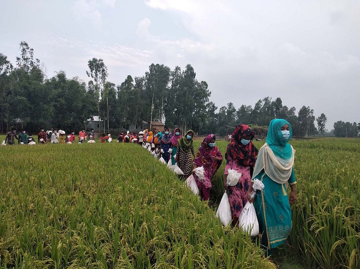 কুড়িগ্রাম সদর উপজেলার ঘোগাদহ ইউনিয়নে প্রথম আলো চর আলোর পাঠশালার শিক্ষার্থীরা প্রথম আলো ট্রাস্টের ঈদ উপহার নিয়ে বাড়ি ফিরছে। আজ সোমবার দুপুরে