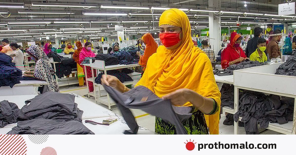 Paypoq bilan mushukni korsatish Paypoq bilan mushukni korsatish