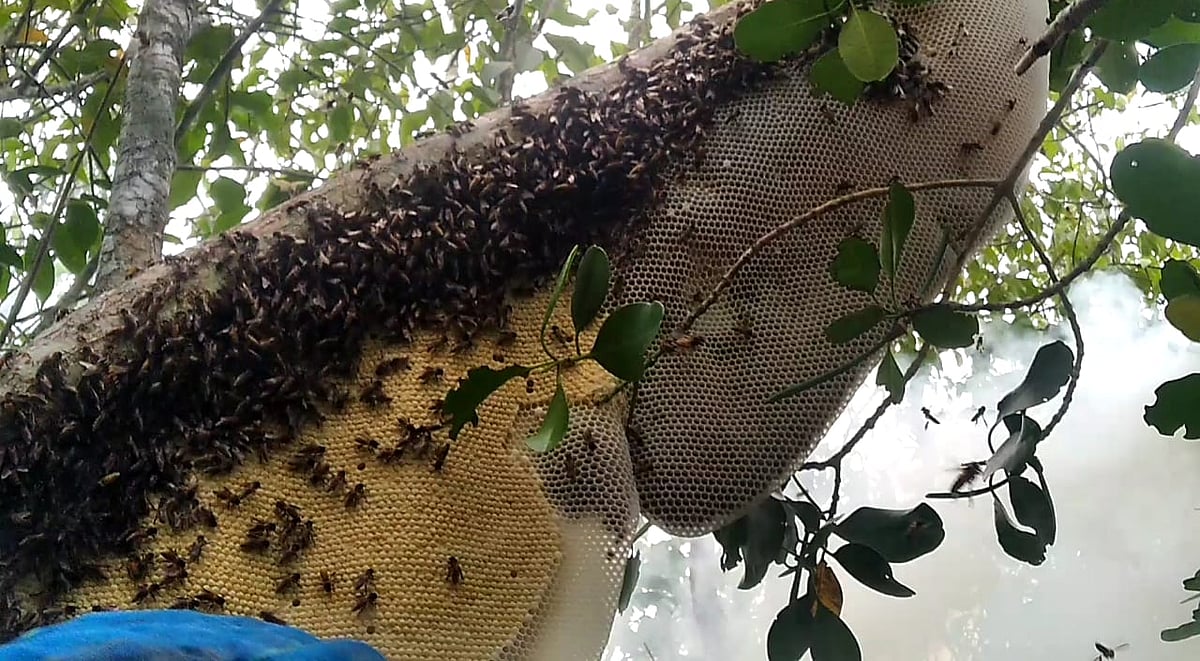 ছবি: লেখক