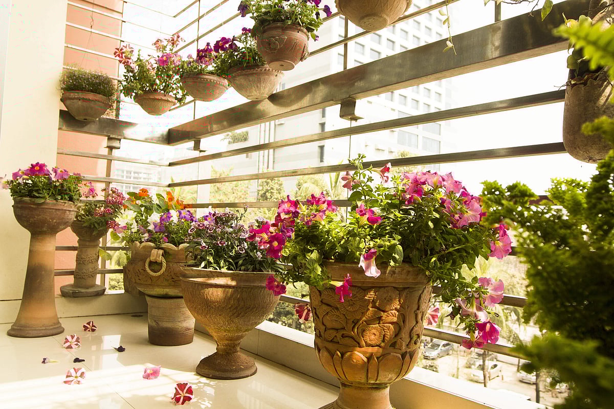 একটা পরিচ্ছন্ন বারান্দা মন ভালো রাখতে সাহায্য করে