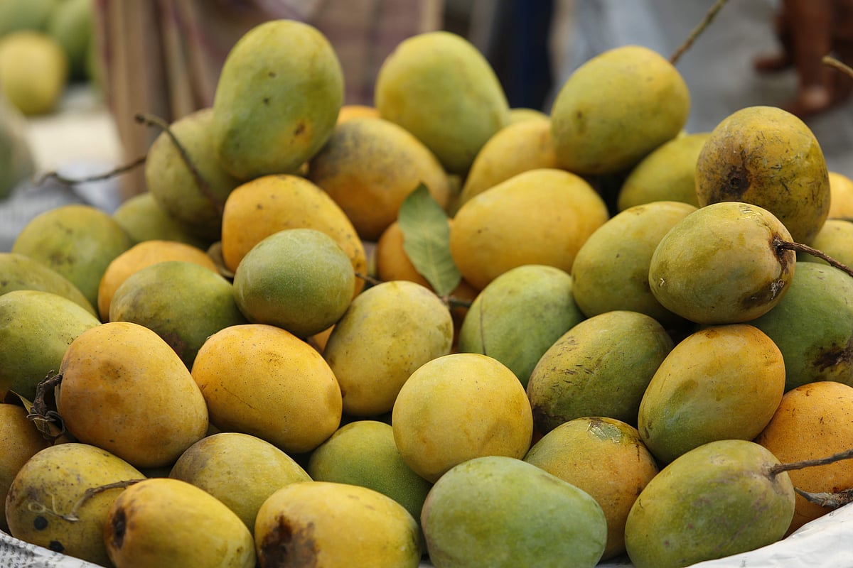 আম পাকানো যায় নানাভাবে