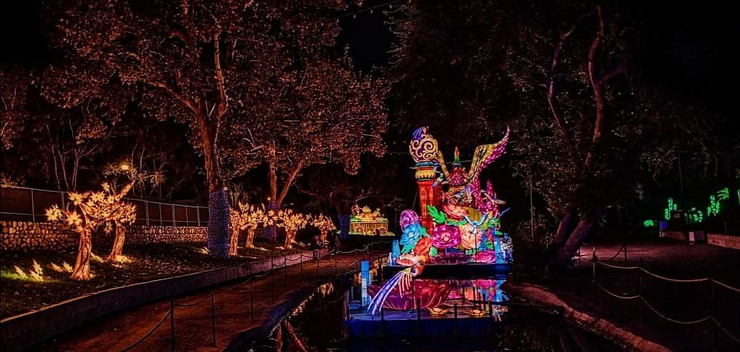 মোহ ধরানো আলোর উৎসব