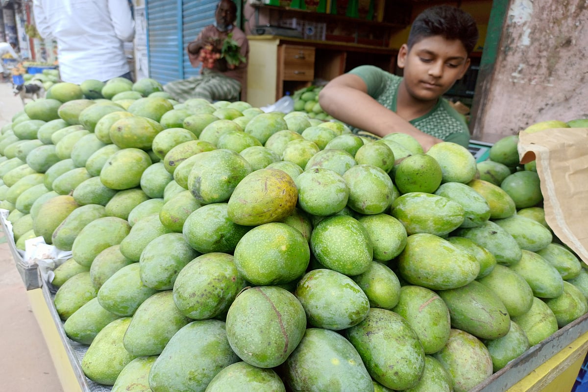 এ বছর আমের দাম তুলনামূলক কম। বিক্রিও ভালো। ব্যবসায়ীরা আম বিক্রি করে খুশি