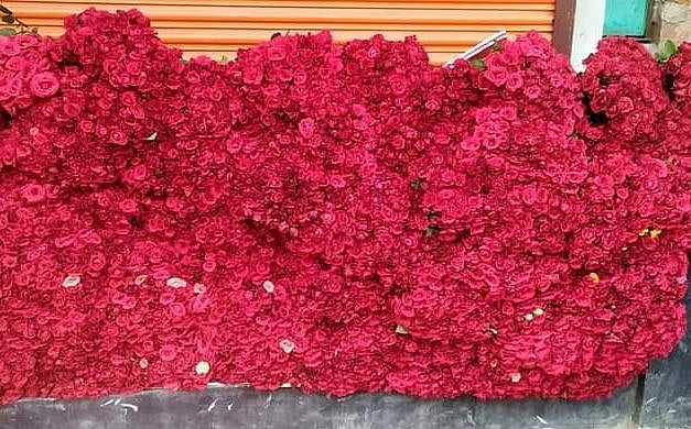 ১০০ টাকায় ১০০ গোলাপ কিনে নতুন ব্যবসা শুরু করেন তাসফিয়া