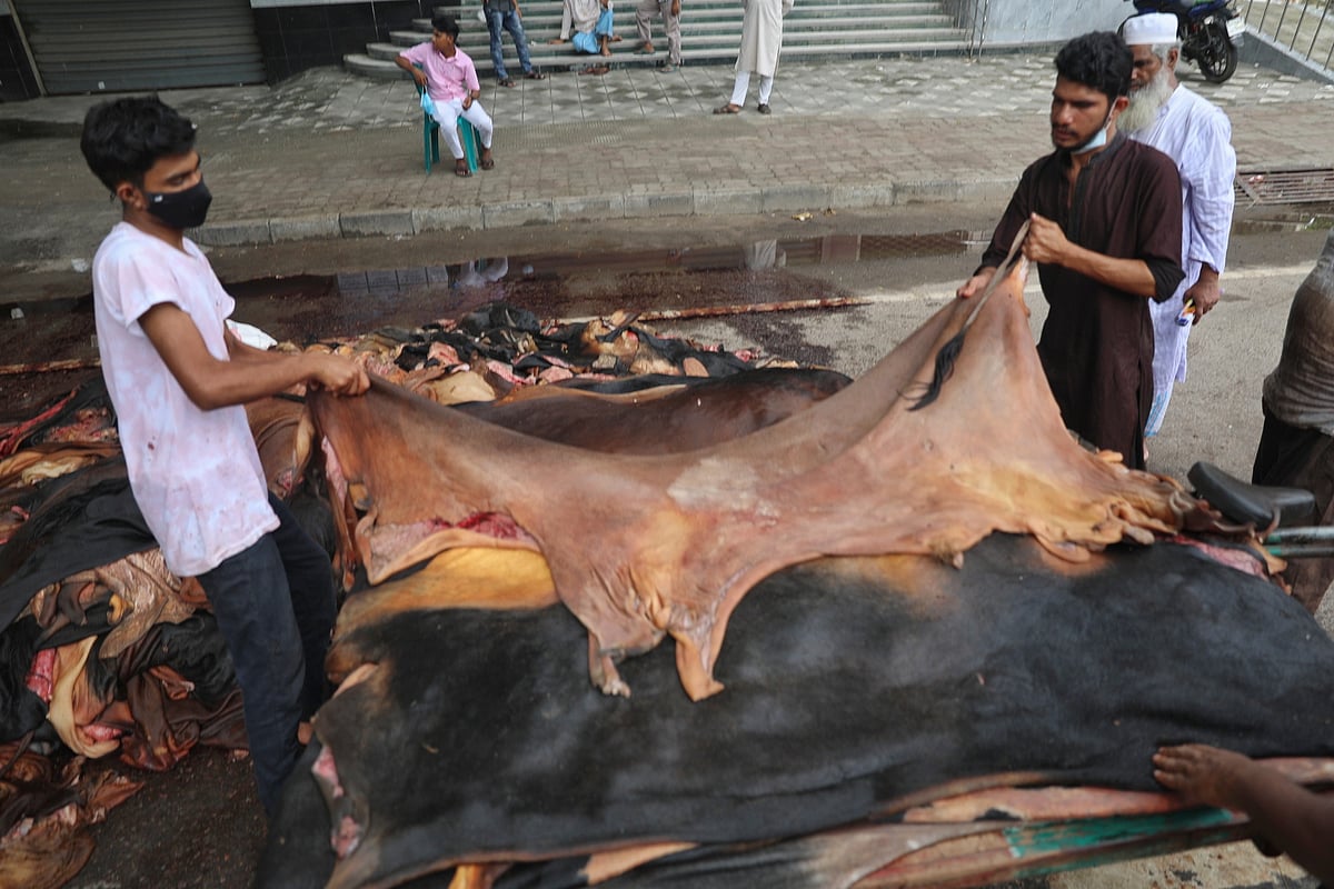 পশুর চামড়া