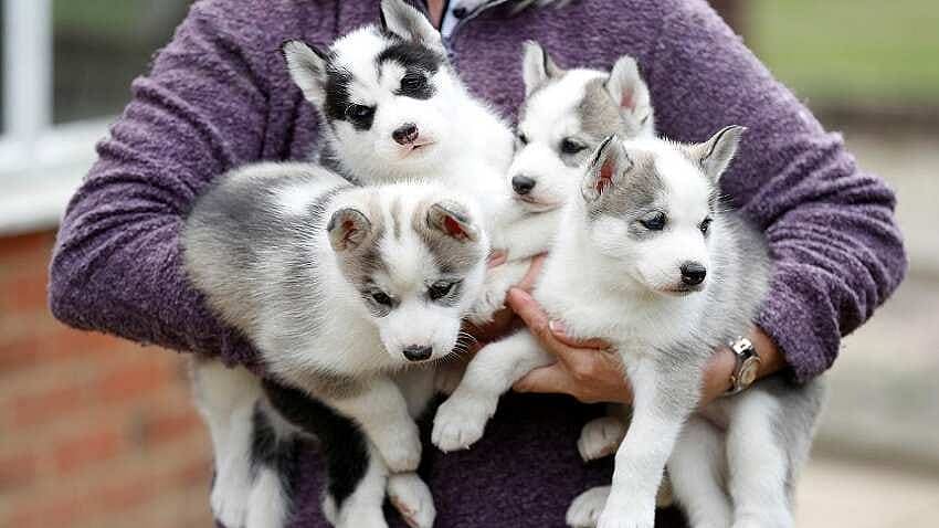 প্রতীকী ছবি