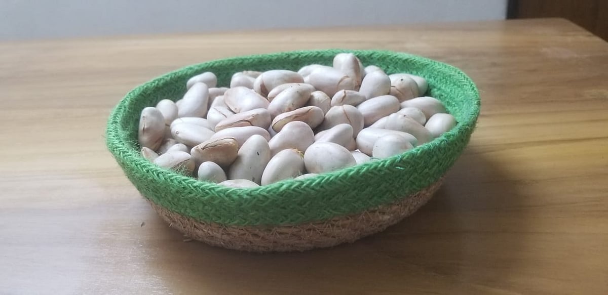 কাঁঠালের বিচি শুধু খেতেই ভালো নয়, রোগ প্রতিরোধে রাখতে পারে দারুণ ভূমিকা