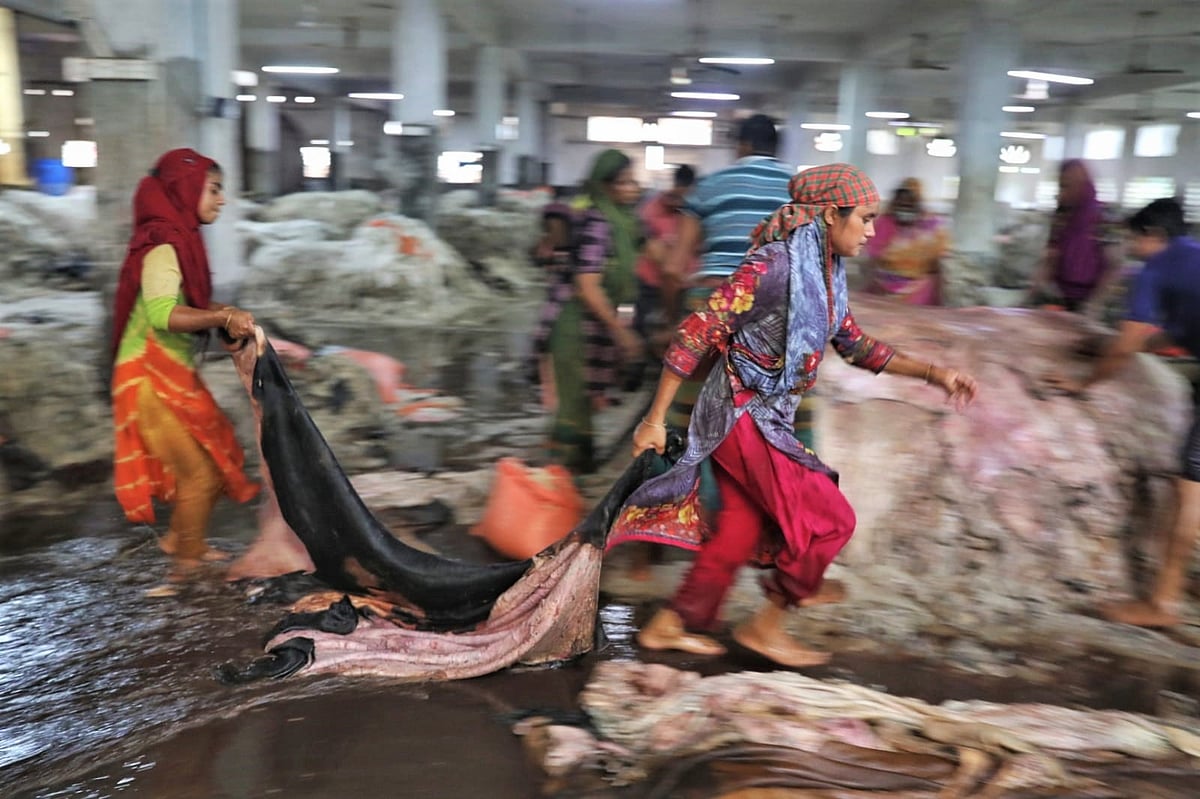 সাভারের হেমায়েতপুরের চামড়া শিল্পনগরী