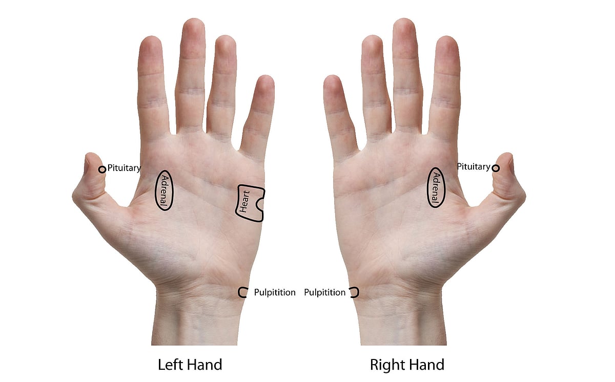 নিয়মিত আকুপ্রেশার করলে প্যানিক ডিজঅর্ডার থেকে মুক্তি পাওয়া সম্ভব