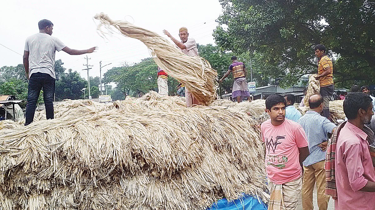 পাটের ভালো ফলনের পাশাপাশি এবার বাজারে দামও বেশি। হাট থেকে কেনার পর তা এক স্থানে স্তূপ করে রাখেন ব্যবসায়ীরা। সম্প্রতি পাবনার সাঁথিয়া উপজেলার করমজা হাটে