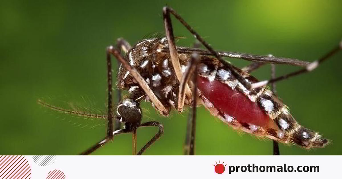 Onlayn porno anal axlatning buzilishi Chiroyli porno yulduzlar