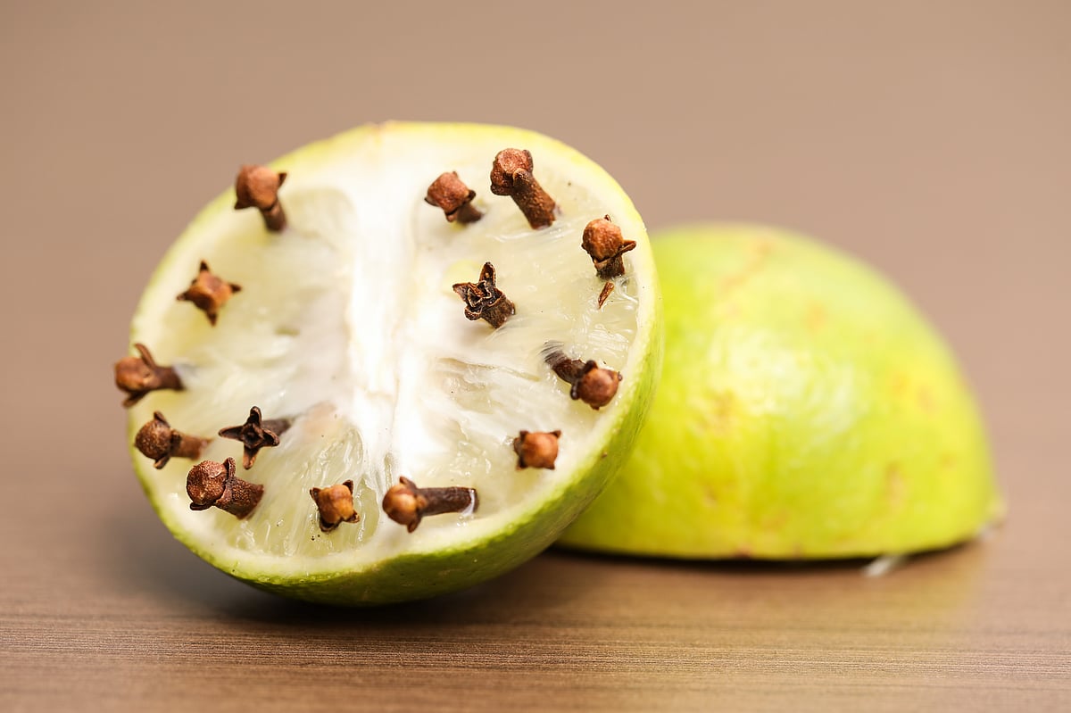 লেবুর গন্ধ আর লবঙ্গের ঝাঁঝ কমাবে মশার উপদ্রব