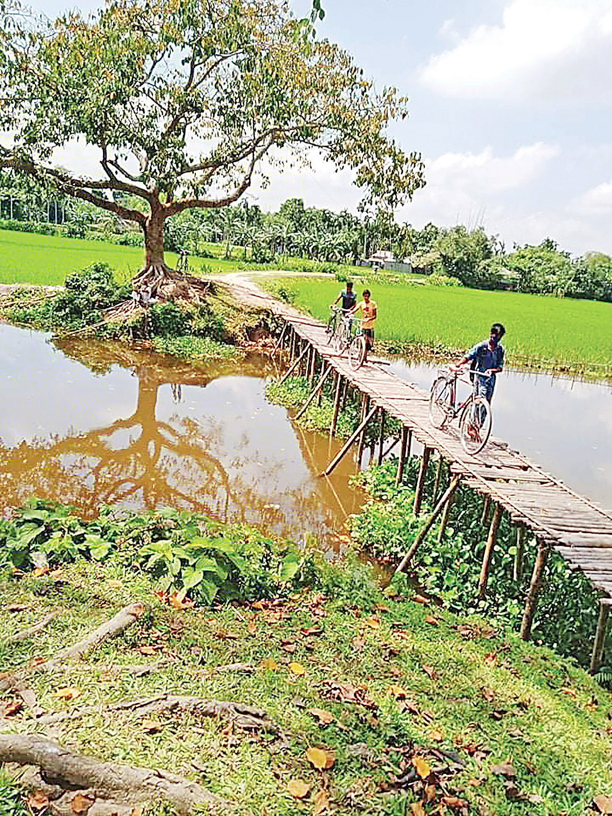 ভেঙে যাওয়া সেতুর চিহ্ন নেই। সাঁকো তৈরি করে চলাচল করেন স্থানীয়রা। গতকাল আদিতমারীর পাঠানঝাড় গ্রামে