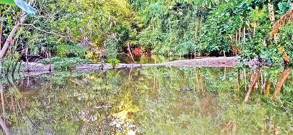 পটুয়াখালীর রাঙ্গাবালী উপজেলার নয়াভাংগুনী খালে বাঁধ দিয়ে মাছ চাষ