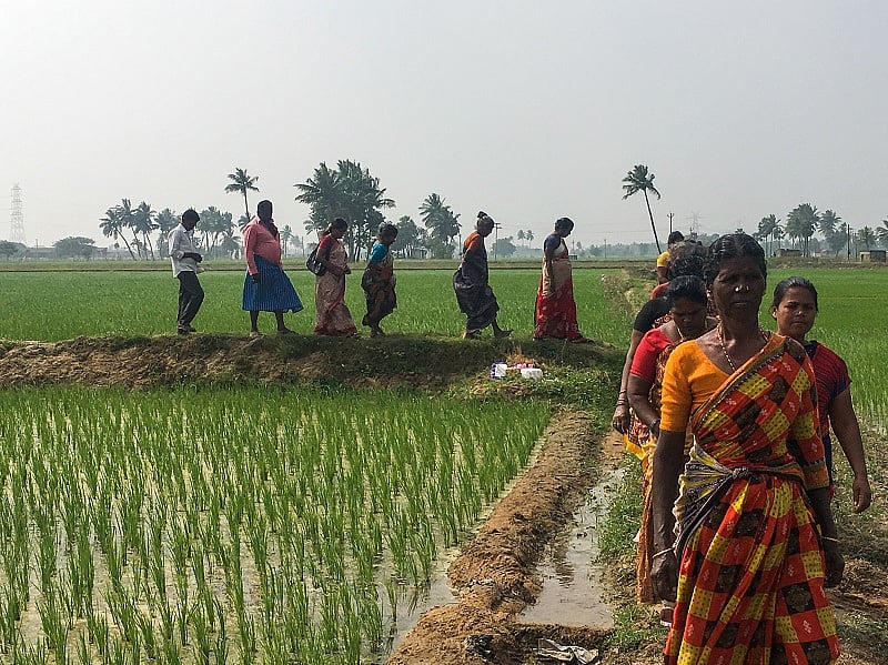 বাংলাদেশে দলিত জনগোষ্ঠীর সঠিক পরিসংখ্যান নিয়ে ব্যাপক অস্পষ্টতা ও ভিন্নতা বিদ্যমান, যা তাদের জন্য কার্যকর নীতি প্রণয়নে একটি বড় বাধা।