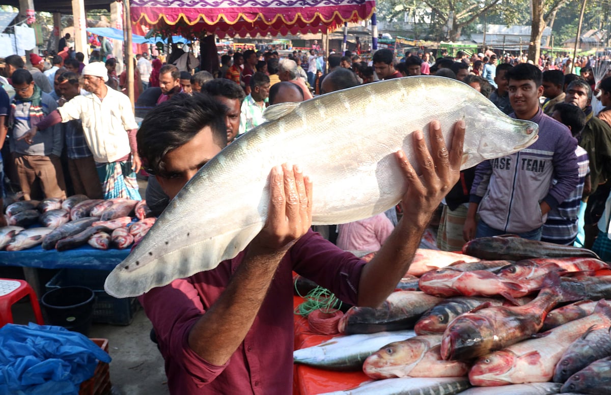 চিতল মাছের কালো দাগ কী সুবিধা দেয়