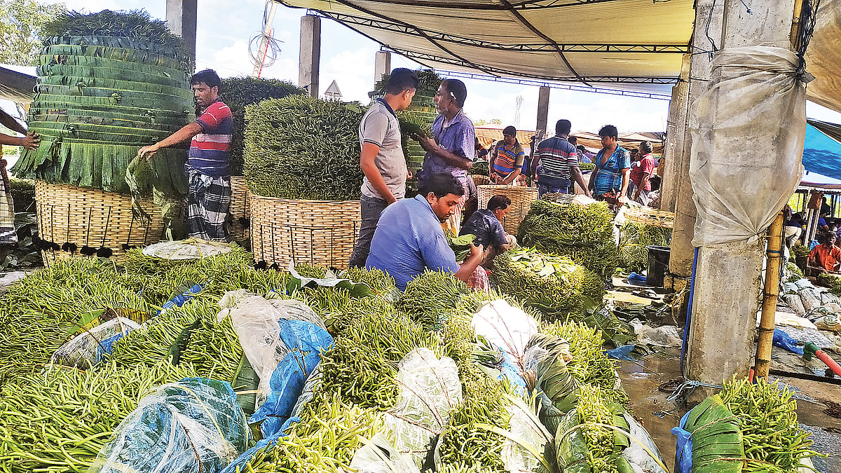 রাজশাহীর মোহনপুর উপজেলায় ১ হাজার ৪১০ হেক্টর জমিতে পানের চাষ হয়। রাজশাহীর পানের চাহিদাও সারা দেশে ব্যাপক