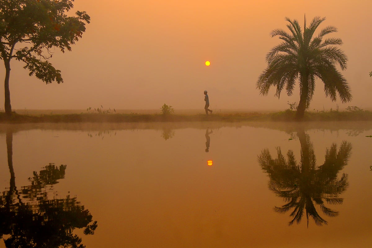 কুয়াশার চাদর মোড়ানো ভোরে উঁকি দিচ্ছে রক্তিম সূর্য। পুকুর পাড়ের পথ ধরে মক্তবের পথে চলেছে শিশুটি। গাছপাড়া, পাবনা, ২২ নভেম্বর