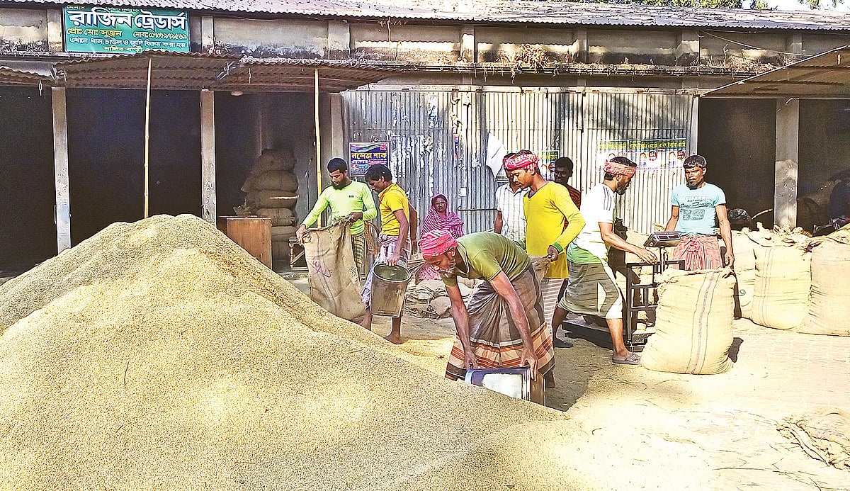 শেরপুরের নালিতাবাড়ী উপজেলার কৃষকেরা সুগন্ধি তুলসীমালা ও চিনিগুঁড়ি ধানের দামে খুশি। ধান কিনে বস্তায় ভরা হচ্ছে। গতকাল নালিতাবাড়ী বাজারে