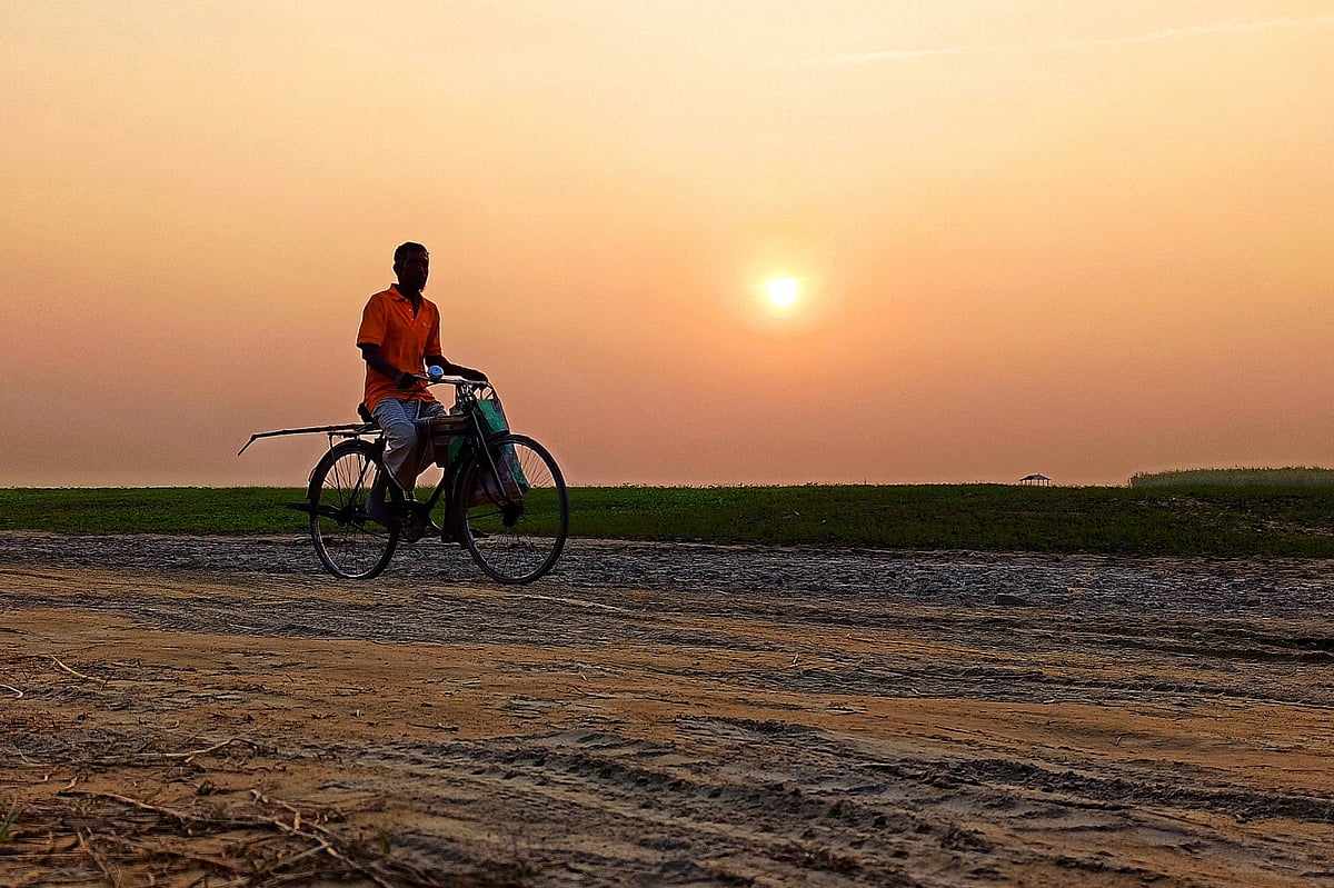 তিন দিন ধরে তাপমাত্রা কমছে উত্তরবঙ্গের জেলাগুলোয়। বেলা শেষে কাজ করে ঘরে ফিরছেন কৃষক। পদ্মাঘাট, পাবনা, ২১ ডিসেম্বর