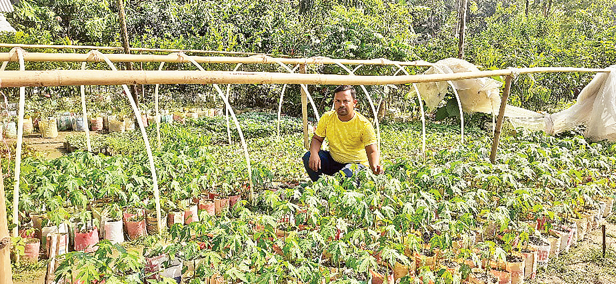 নার্সারিতে চারার পরিচর্যা করছেন ওমর ফারুক