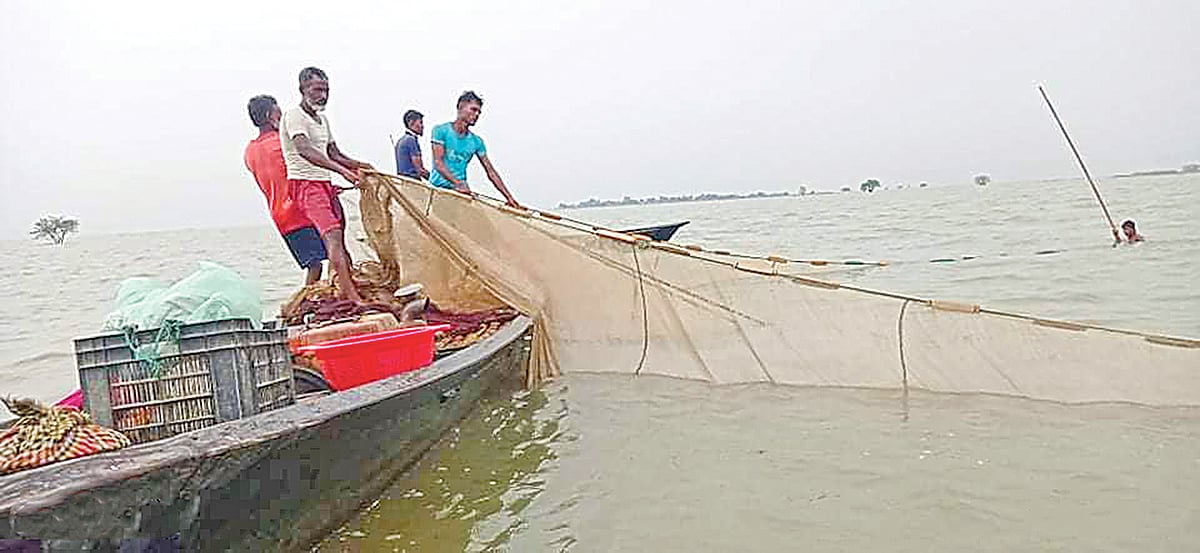 নেত্রকোনার খালিয়াজুরীর নরসিংহপুর জলমহালে প্রভাবশালীদের নিয়োজিত জেলেরা মাছ ধরছেন