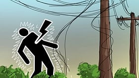 জমিতে পানি দিতে তার টানতে গিয়ে ছেলের সঙ্গে বিদ্যুৎস্পৃষ্টে মায়ের মৃত্যু