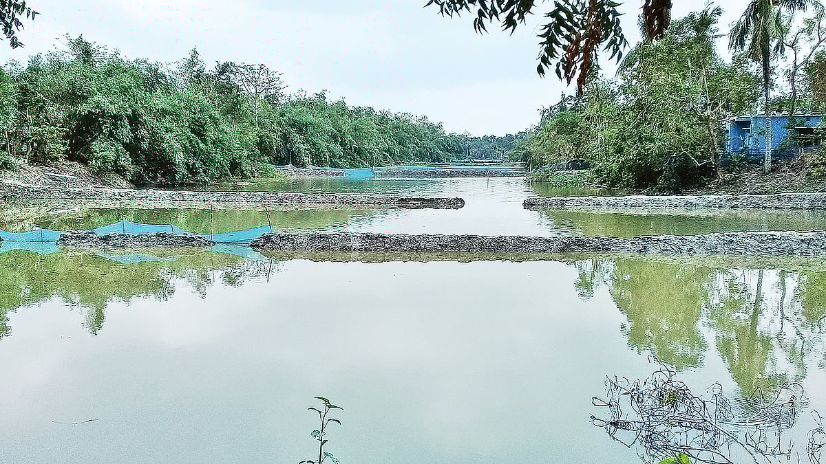 ভাবদিয়া বাঁওড়ের প্রায় ২৫০ বিঘা জমি দখল করে নেওয়া হয়েছে। দখলদারেরা ওই সব জমিতে পুকুর কেটে মাছ চাষ করছেন
