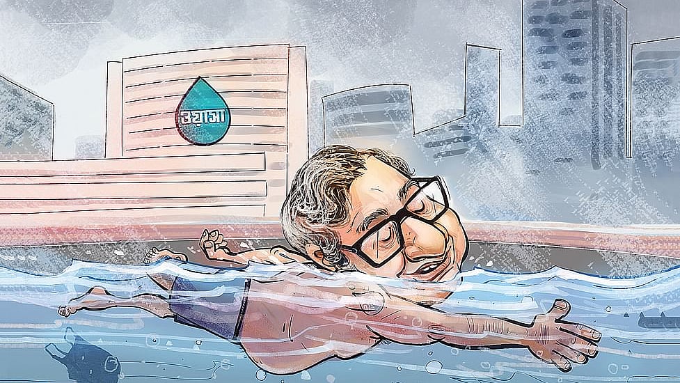 Katta eshakli jinnilar