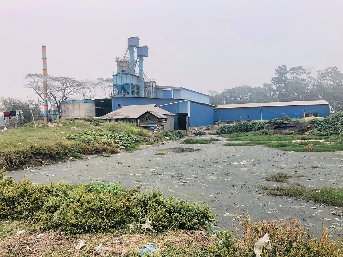 মাদারীপুরে যত্রতত্র গড়ে ওঠা স্বয়ংক্রিয় চালকলের নেই কোন বর্জ্য পরিশোধনাগার। তাই কারখানার দূষিত বর্জ্য গিয়ে মিশছে ফসলি জমিতে। সম্প্রতি রাজৈর উপজেলার মাতুব্বরবাড়ি এলাকায়