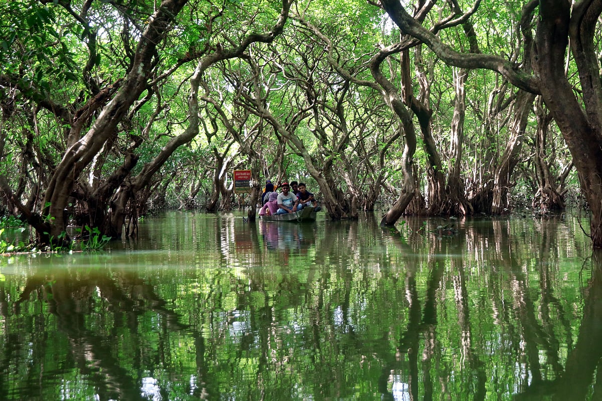 জল আর বনের মিতালি দেখা যায় সিলেটের গোয়াইনঘাট উপজেলার রাতারগুলে