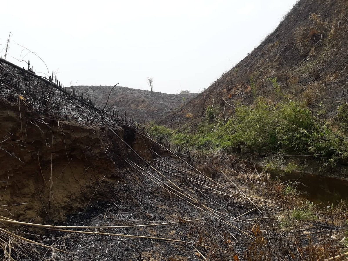 বান্দরবানের লামায় জুমচাষের প্রাকৃতিক বনাঞ্চল পুড়িয়ে দিয়েছে রাবার ইন্ডাস্ট্রিজ কোম্পানি