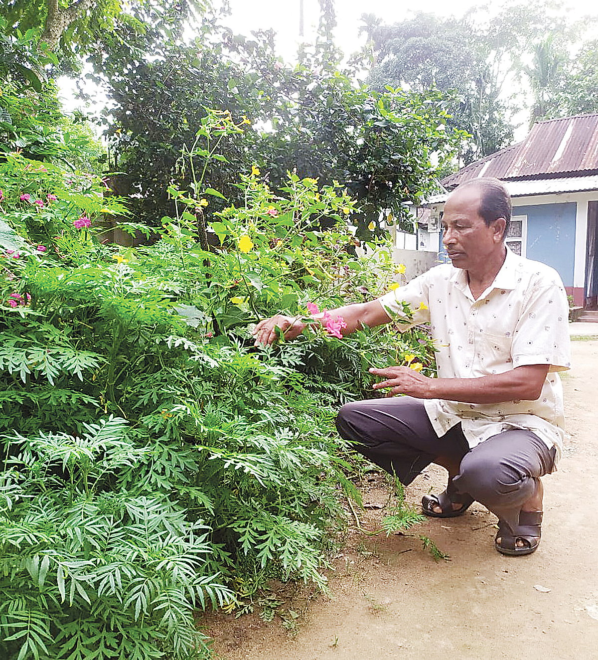 বাড়ির ফুলবাগানে পরিচর্যা করছেন বকুল চন্দ্রনাথ। গতকাল মৌলভীবাজারের বড়লেখা উপজেলার উত্তর বাগীরপারে