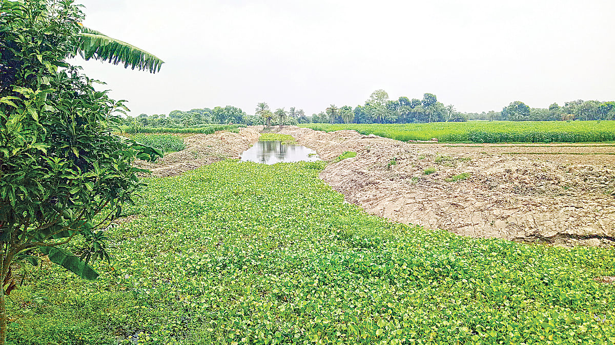 বসন্তপুর বিলের জলাবদ্ধতা নিরসনের জন্য ব্যক্তিমালিকানাধীন জমিতে কাটা খাল। জমির মালিকদের বাধায় বিরোধ এখন তুঙ্গে। গত রোববার দুপুরে নাটোরের লালপুরের বসন্তপুর বিলে