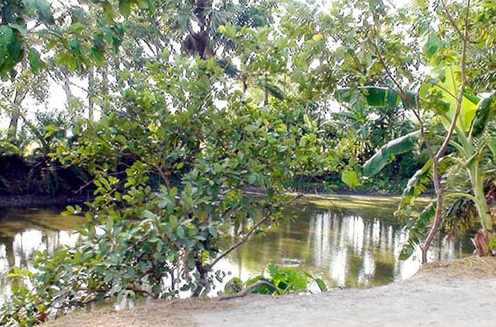 তারাকান্দর শুধু একটি গ্রামই নয়, গোপালগঞ্জ তথা দেশের অন্যতম বড় বধ্যভূমি