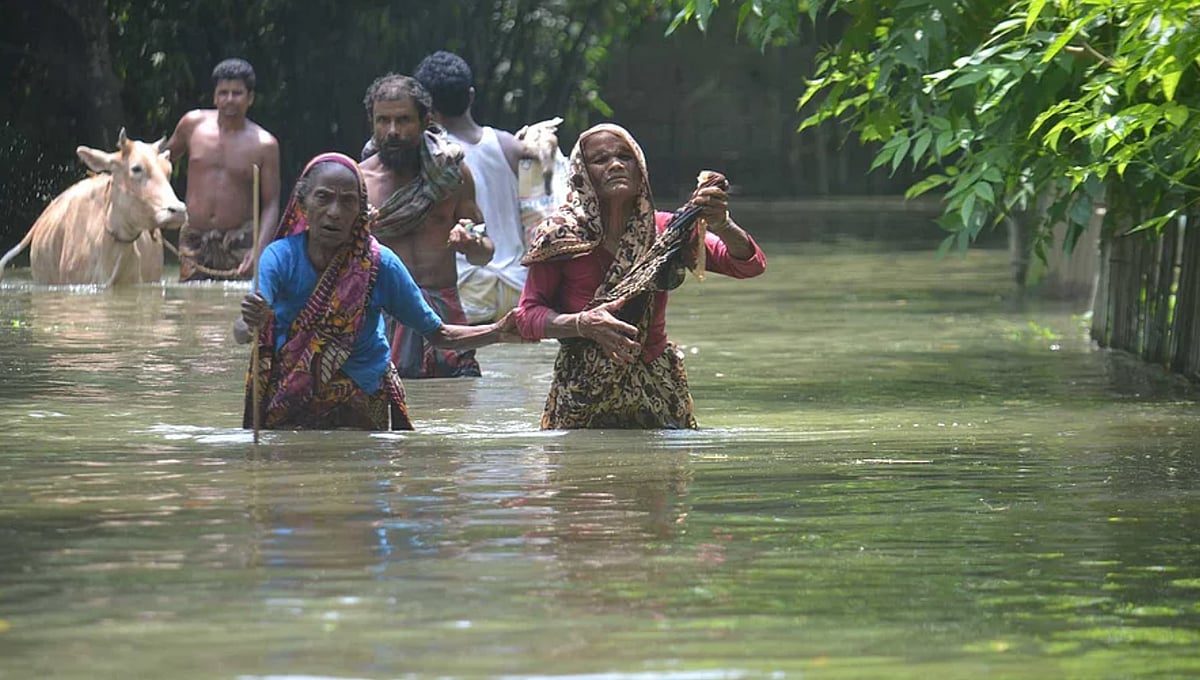 কুড়িগ্রামে এ বছর যে বন্যা হয়েছে, অন্যান্য বছর তার চেয়ে অনেক বেশি বন্যা হয়। সেই বন্যার সময়েও সরকারের তৎপরতা থাকে না