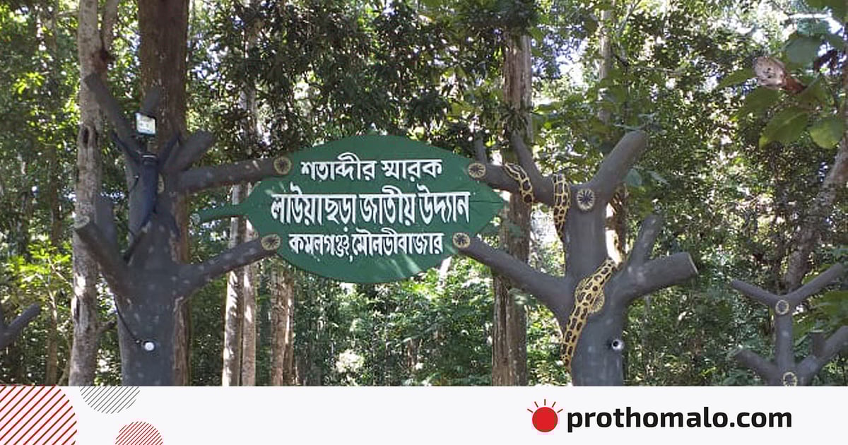 Woodman kasting seks video Rossiyada Atella Ocean porno