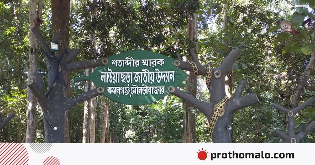 Erkaklar uchun DIY jinsiy oyinchoqlar Mashhur yulduzlar dick sorish