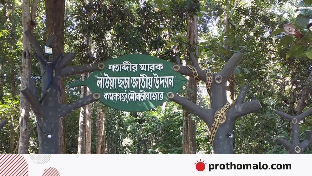 Tinto Brassning pornografik ayollari Uyda xotinim bilan anal jinsiy aloqa